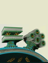Immagine 4