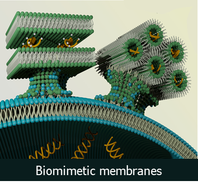 10_Biomimetic%20membranes.png
