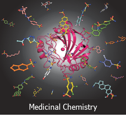 13_MedicinalChemistry.png