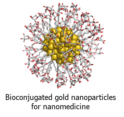 14_Bioconjugates%20gold%20nanoparticles%20for%20medicine.png