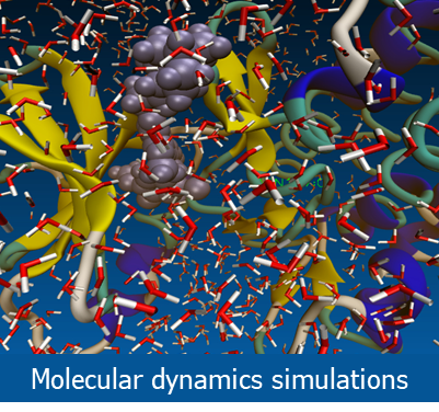 1_MOLECULAR%20DYNAMICS%20SIMULATIONS.png